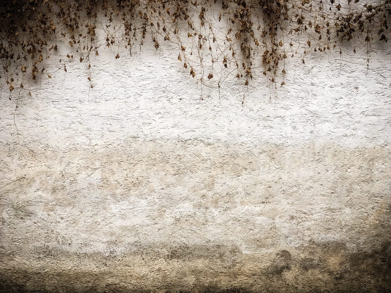 Black mould bleeding down a pale wall