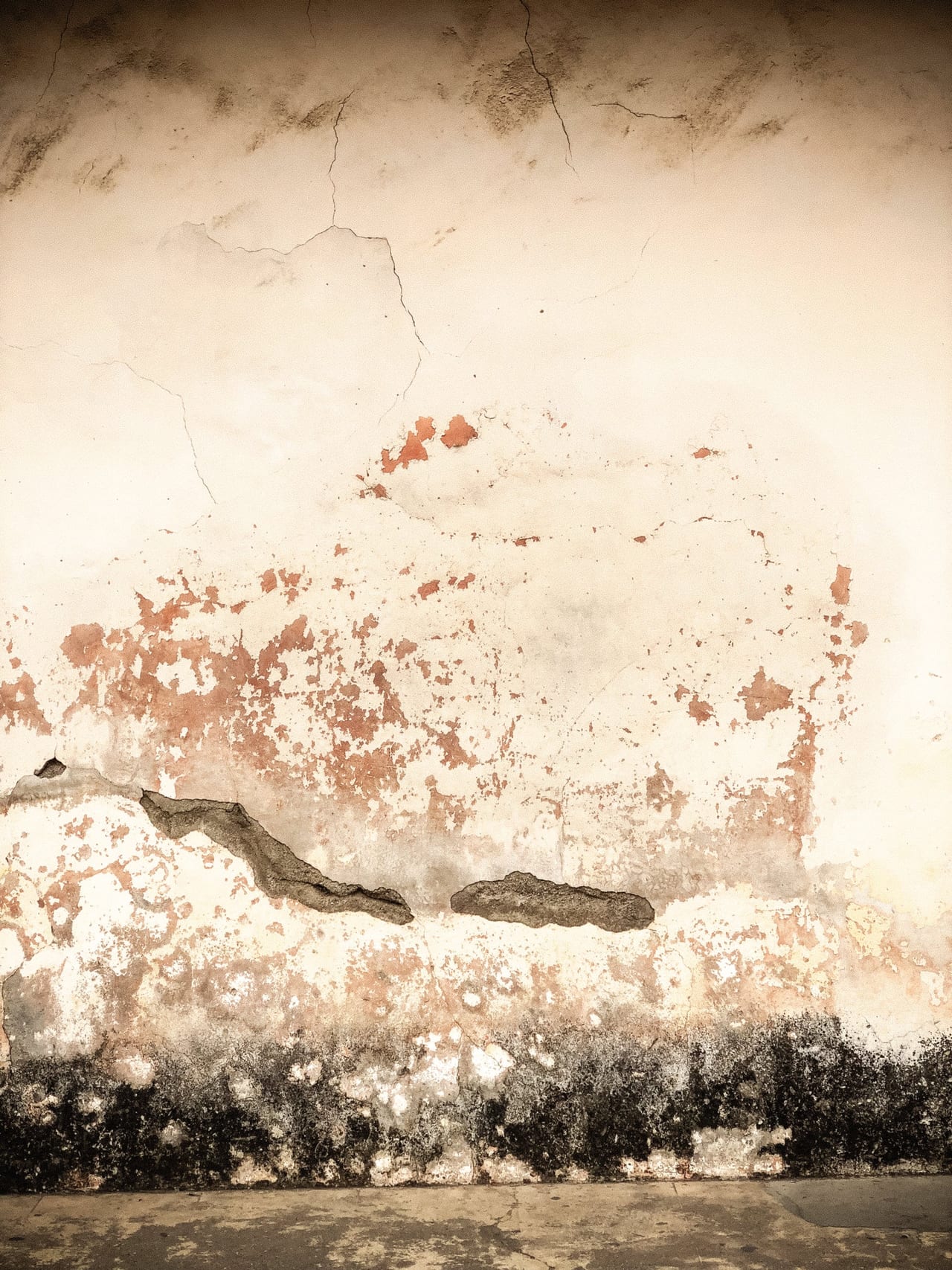 A pale wall, stained and crumbling at the foot