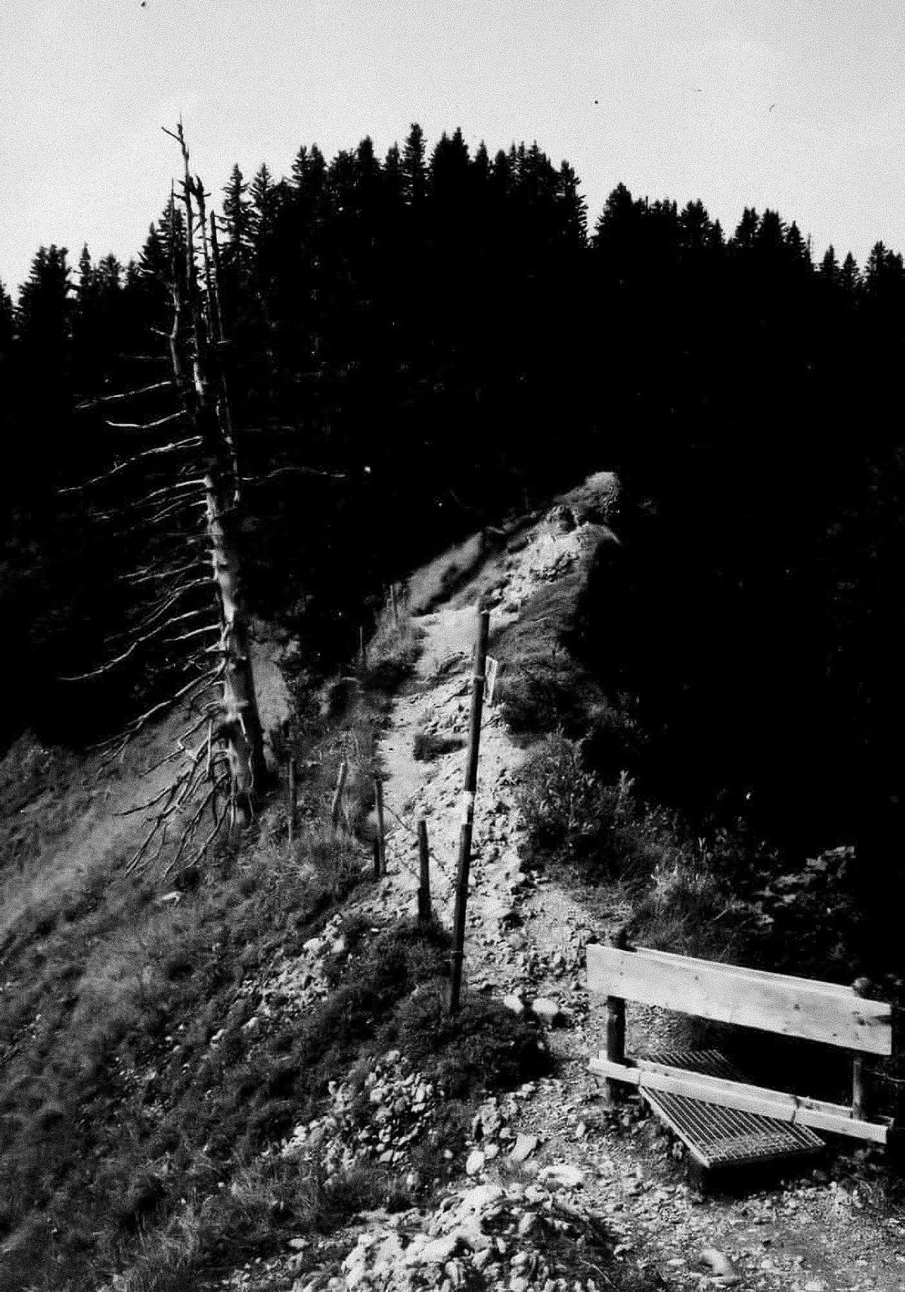Foto zum Zitat #7 (3/8)