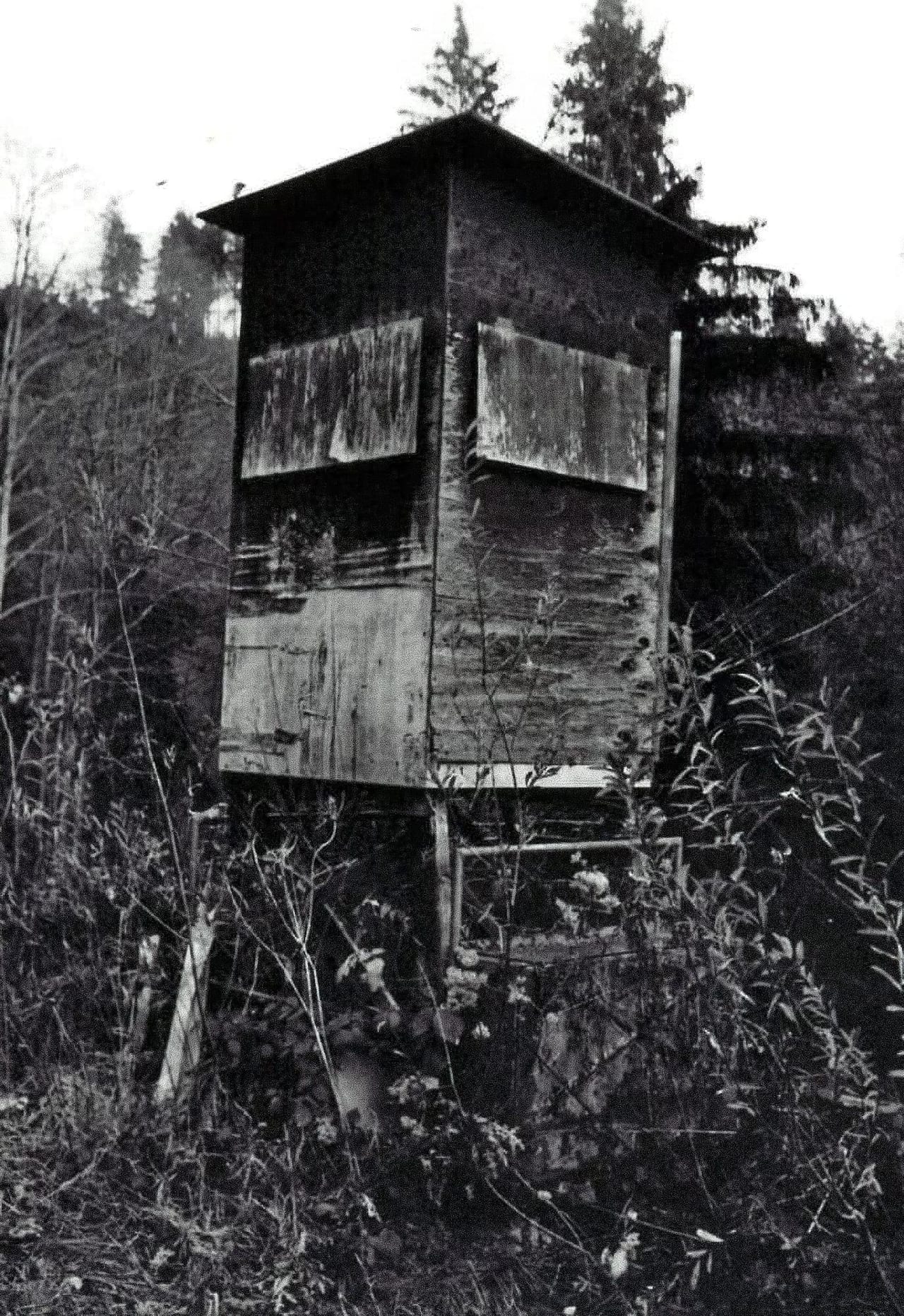 Foto zum Zitat #7 (7/8)