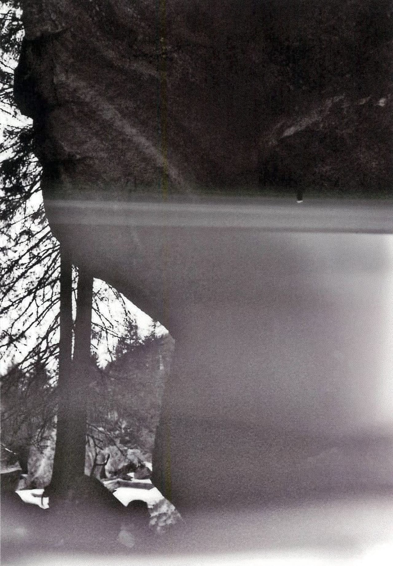 Foto zum Zitat #29 (1/3)