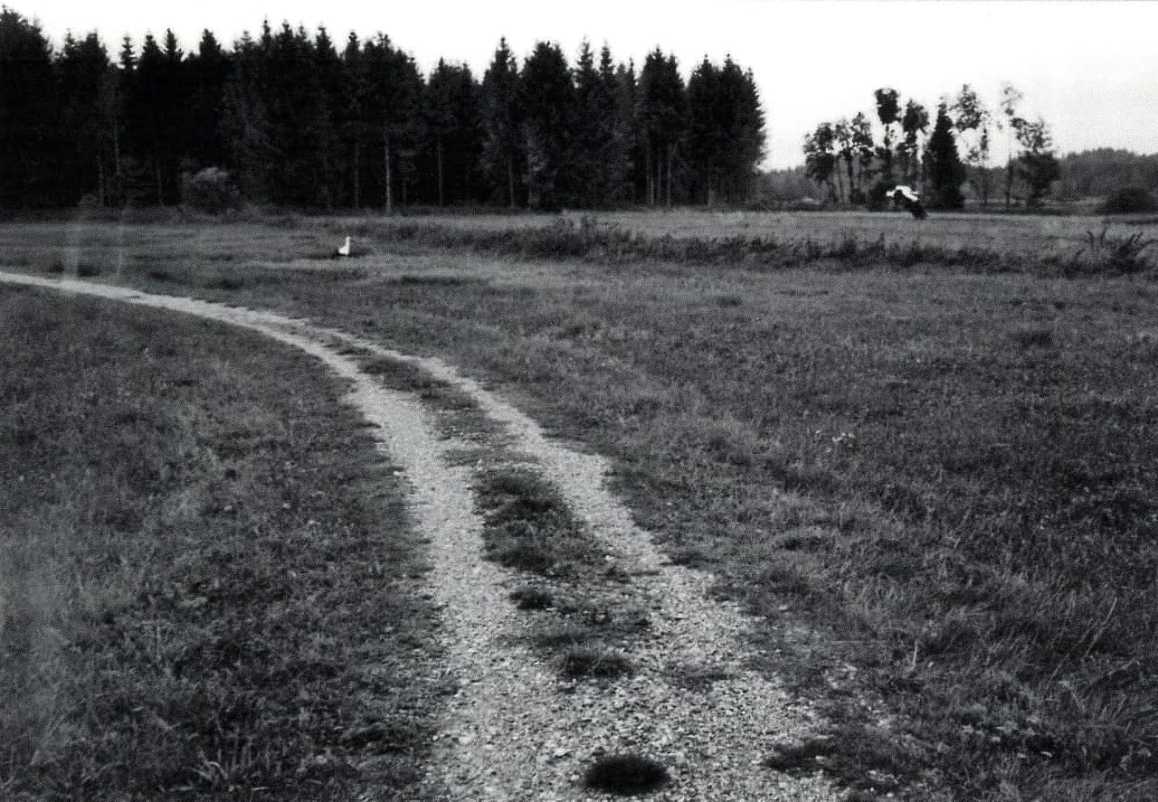 Foto zum Zitat #42 (1/3)
