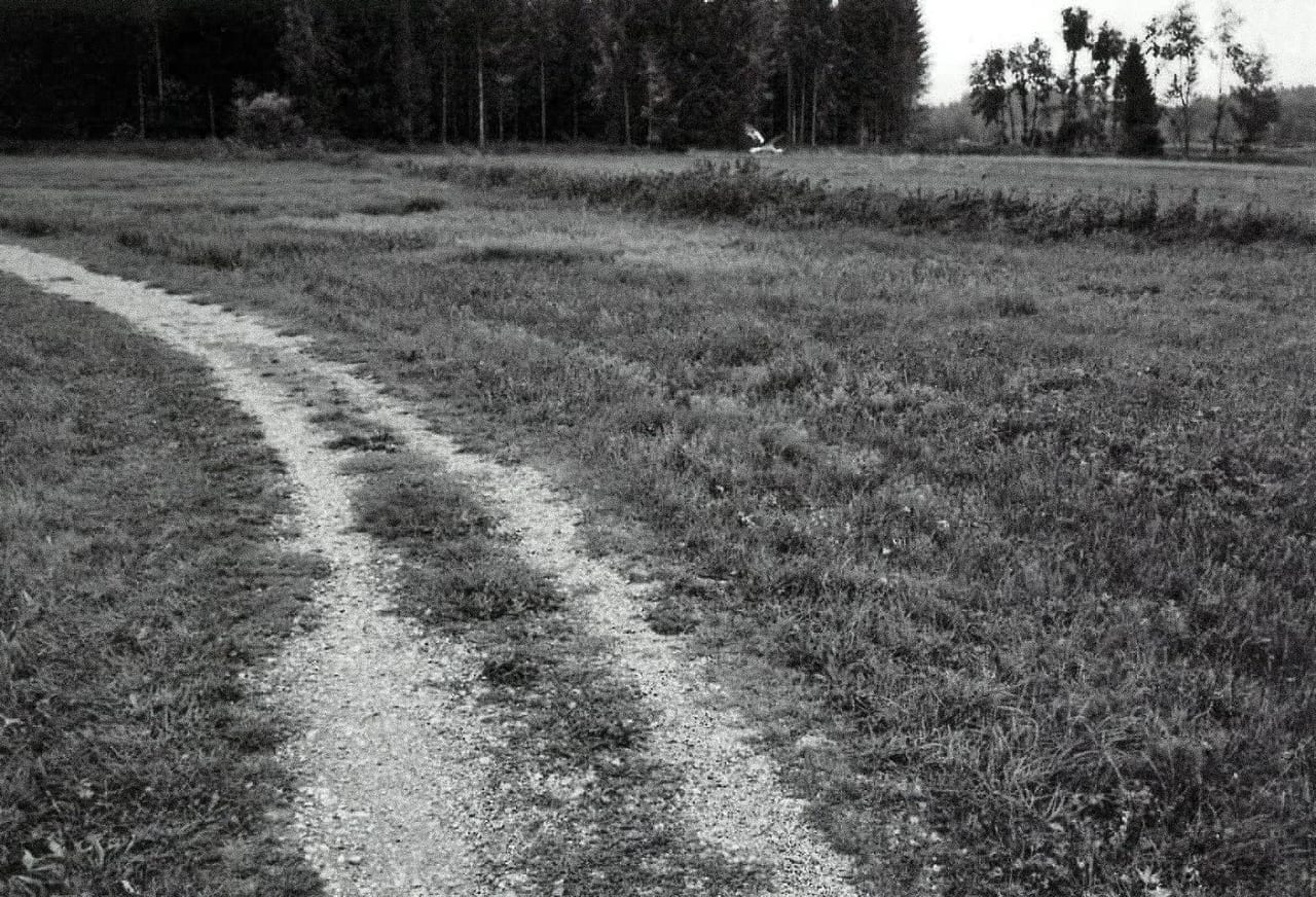 Foto zum Zitat #42 (3/3)