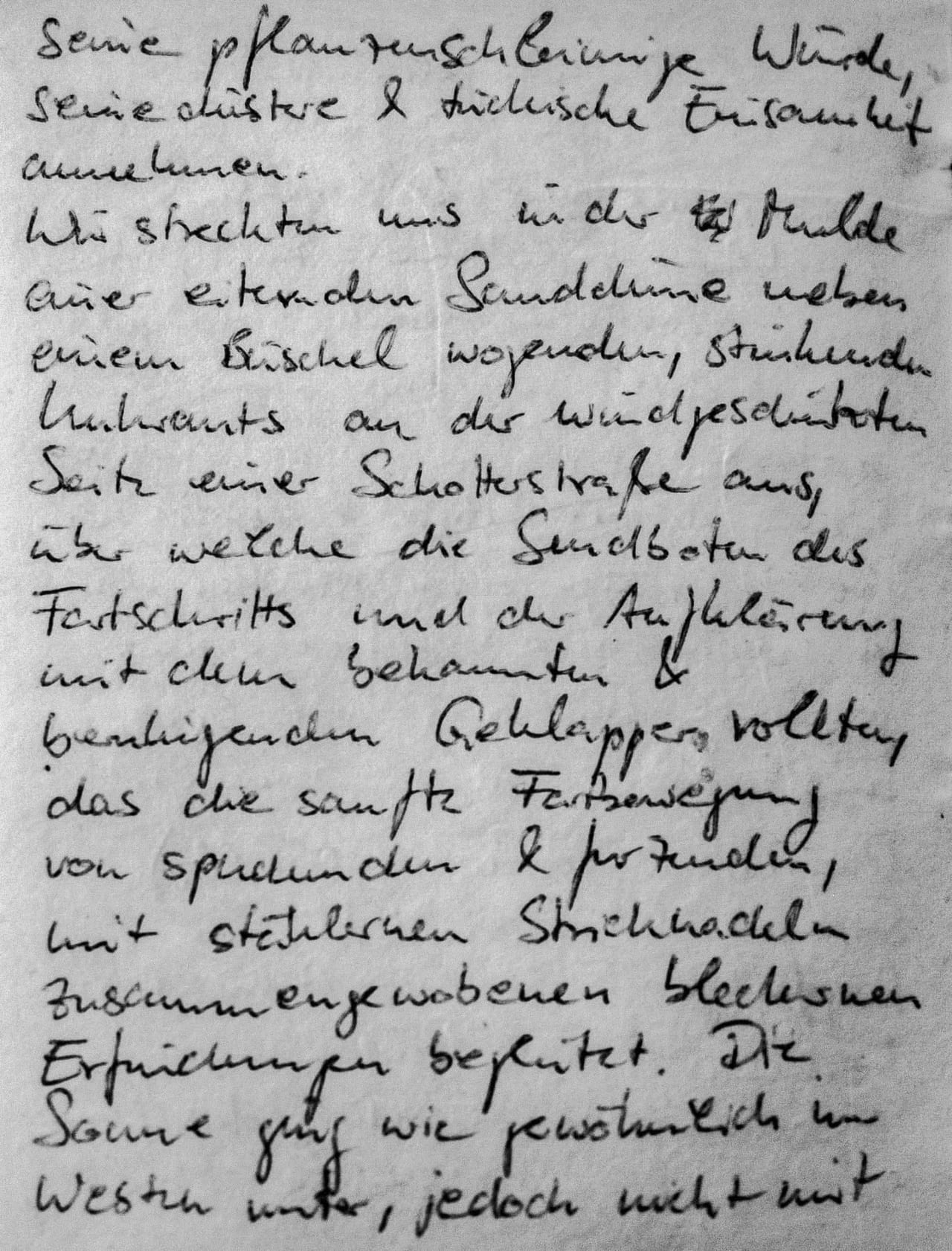 Handschriftliches Zitat #48: „… seine pflanzenschleimige Würde, seine düstere & tückische Einsamkeit annehmen. Wir streckten uns in der Mulde einer […] Sanddüne neben einem Büschel wogenden, stinkenden Unkrauts an der windgeschützten Seite einer Schotterstraße aus, über welche die Sendboten des Fortschritts und der Aufklärung mit dem bekannten & beruhigenden Geklapper rollten, das die sanfte Fortbewegung von spuckenden & furzenden, mit stählernen Stricknadeln zusammengewobenen blechernen Erfindungen begleitet. Die Sonne ging wie gewöhnlich im Westen unter, jedoch nicht mit Glanz & Herrlichkeit, sondern […] wie ein gewaltiges, in Wolken von Rotz & Schleim gehülltes Omelett.“